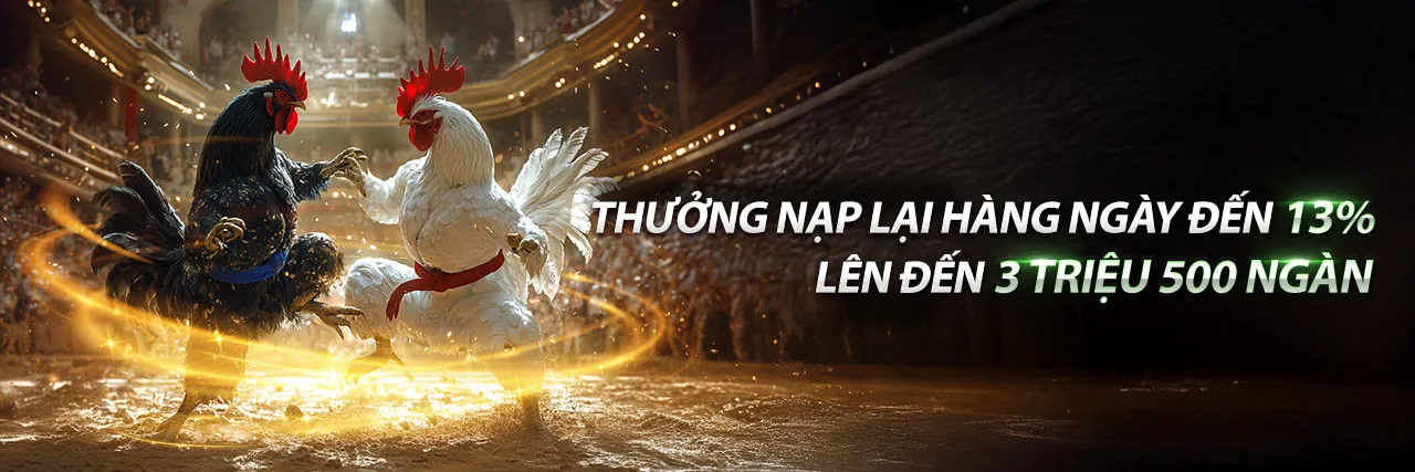 Đá gà 88 z.net - Sân chơi cá cược đá gà trực tuyến đỉnh cao